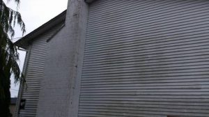 Siding Cleaning - Before